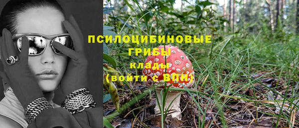 соль ск Балабаново